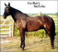 GO BOYS SIR ECHO - grandson of Merry Nightcap - gelding. 1988